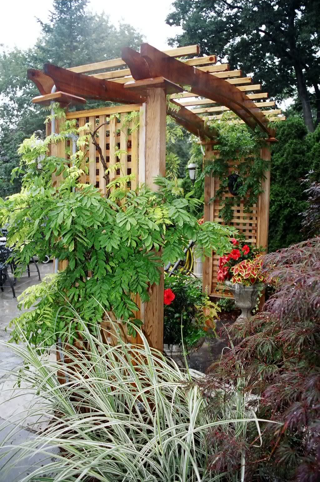 A wooden arbor supports lush green vines and foliage in a garden setting, surrounded by various plants and shrubs on a paved patio.