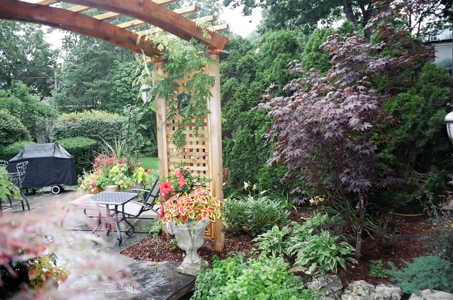 A lush garden with a wooden pergola, patio furniture, vibrant plants, and a barbecue grill, surrounded by dense greenery and decorative stones.