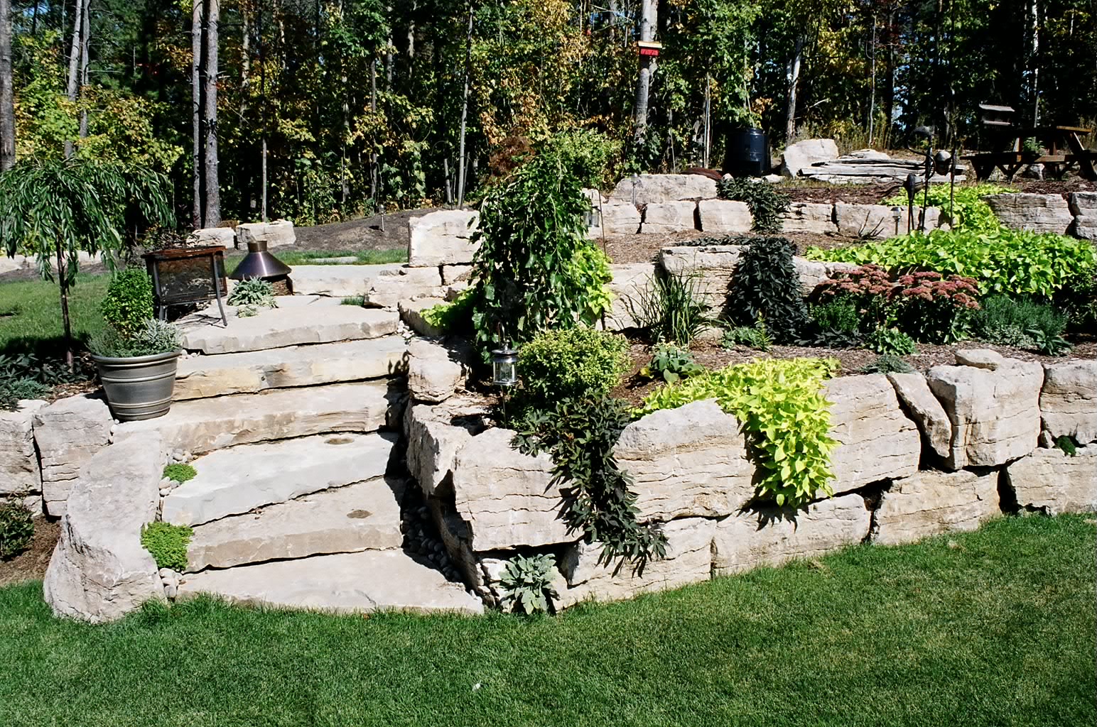 Terraced garden with stone steps, lush greenery, and shrubs. Trees in the background create a serene and inviting outdoor environment.