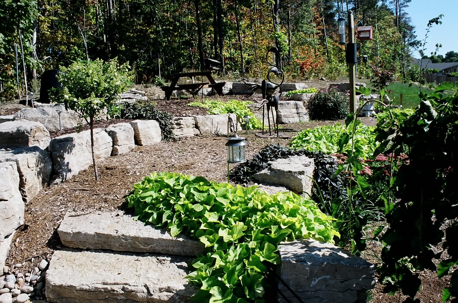 A terraced garden with lush greenery, stone steps, a bench, and sculptures surrounded by trees under a clear sky.