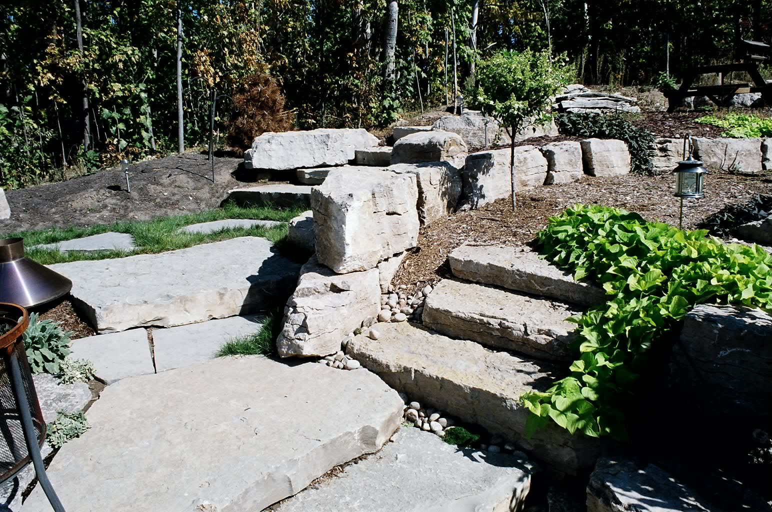 Stone steps with lush greenery and clear blue sky, bordered by trees and bushes, create a tranquil garden scene.