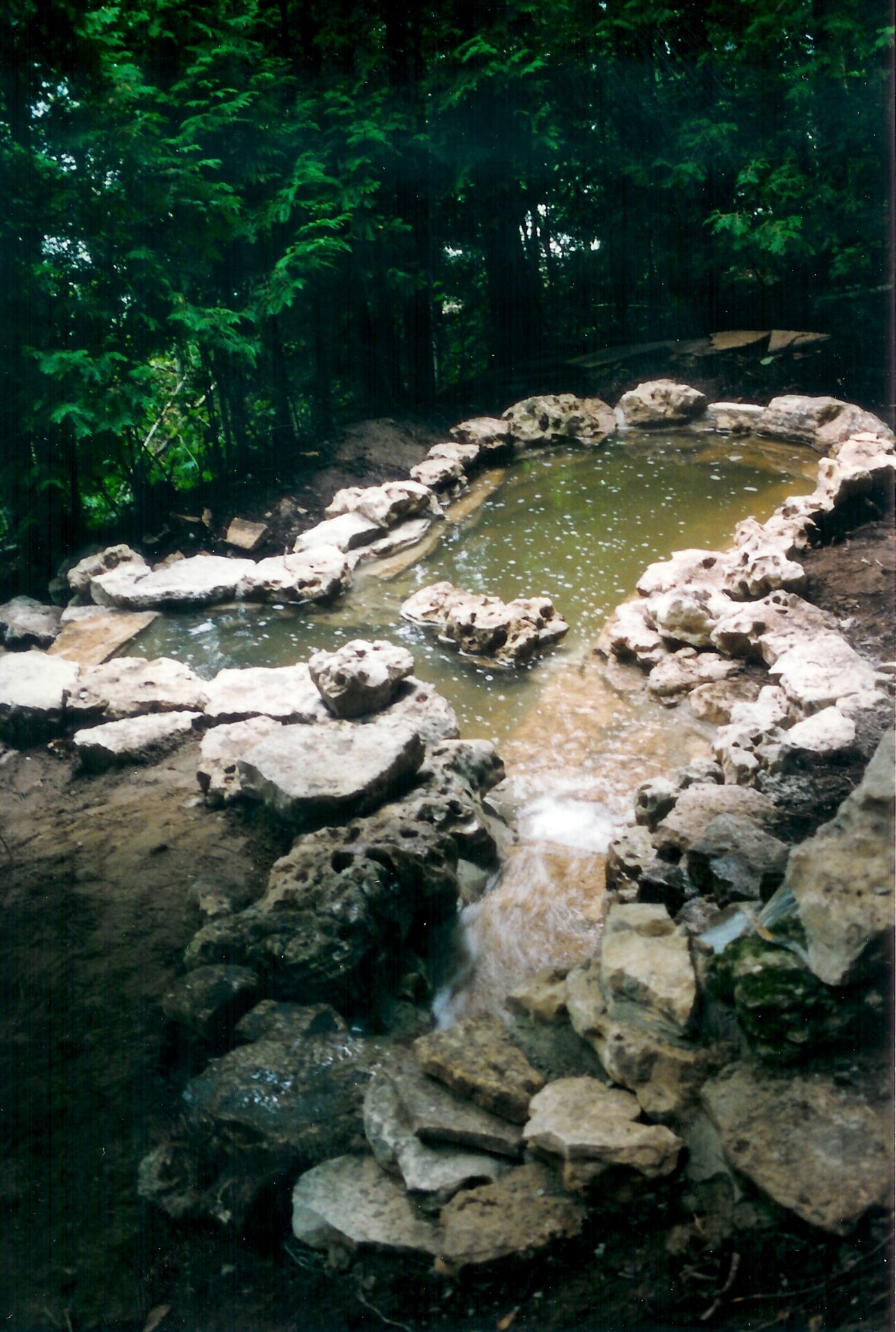 A small, rocky pond with a gentle waterfall is nestled within lush greenery, creating a tranquil natural scene in the forest.