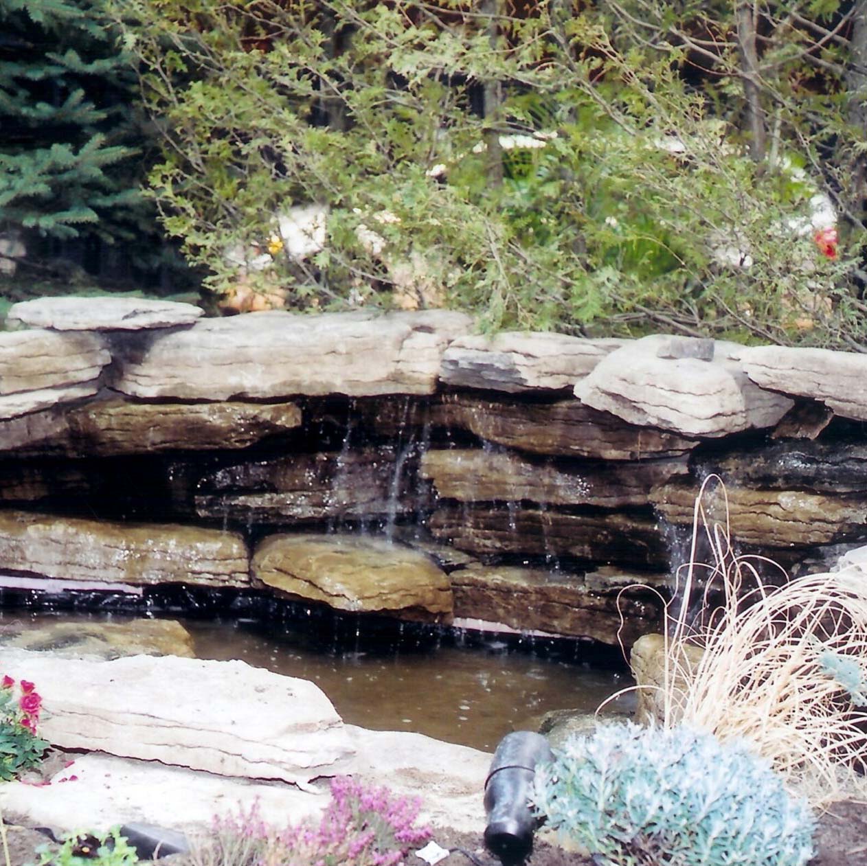 A small waterfall flows over layered rocks into a pond, surrounded by lush greenery and vibrant plants. No landmarks or people visible.