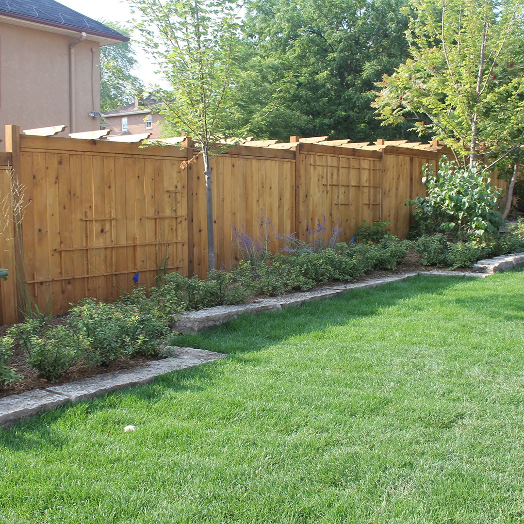 A lush backyard garden with a wooden fence, vibrant green grass, and neatly trimmed bushes under a clear sky.