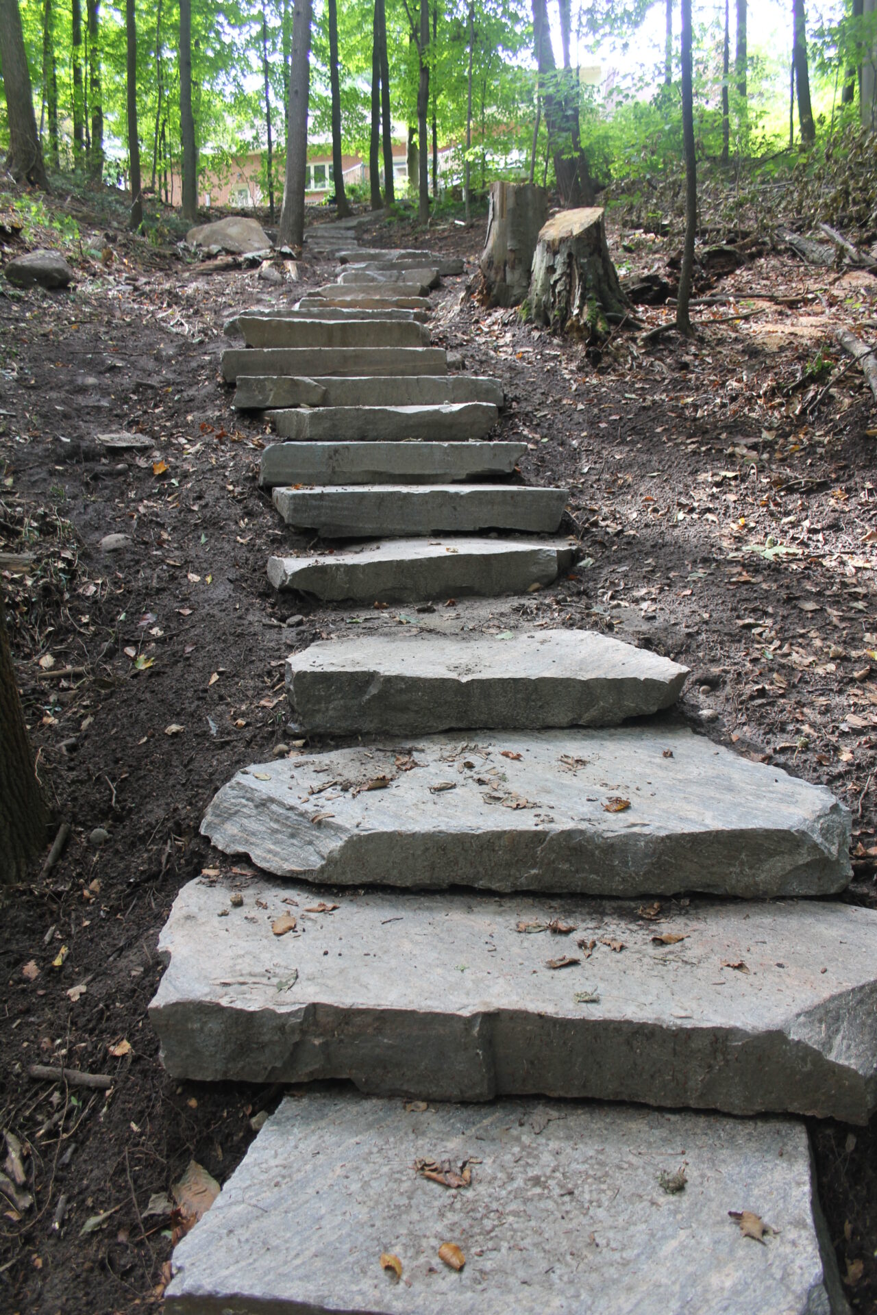 Stone steps ascend through a shaded forest path, surrounded by trees and fallen leaves, leading towards a distant house partially visible.