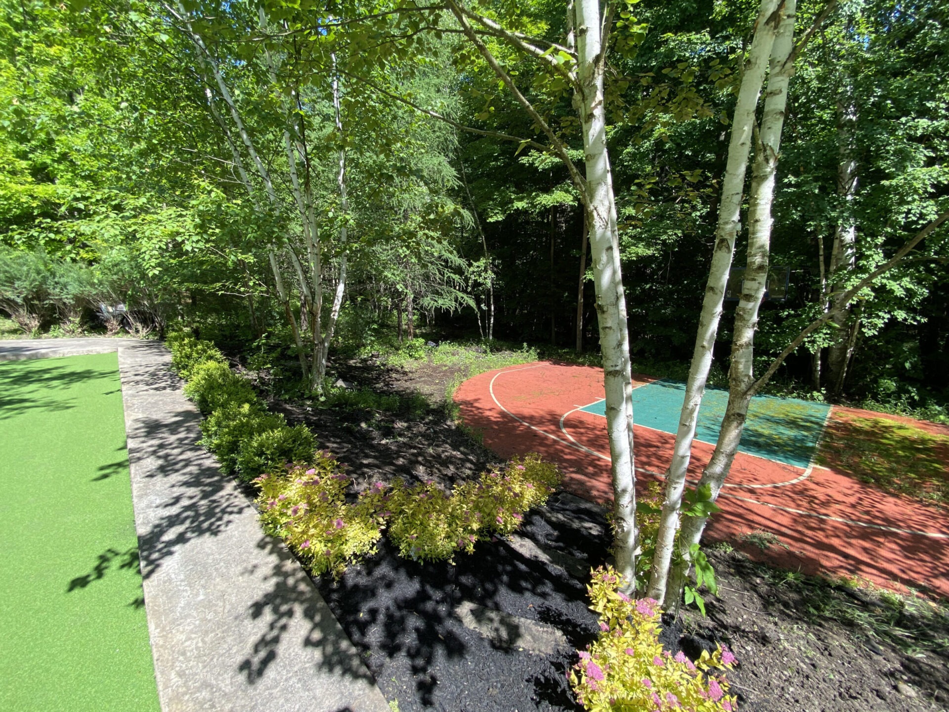 A serene outdoor basketball court surrounded by trees and greenery, with a grass path and blooming shrubs in bright sunlight.