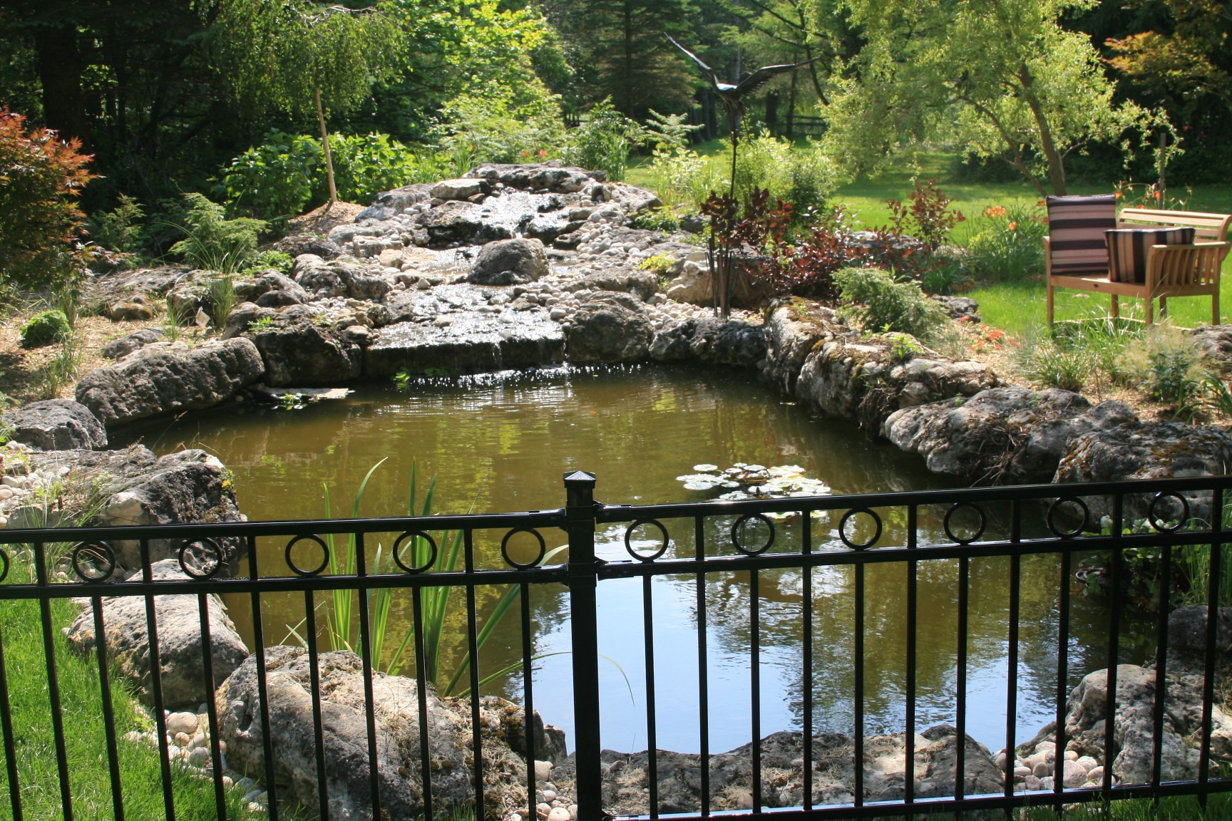 A tranquil garden pond surrounded by rocks and greenery, behind a black iron fence. Wooden chairs and table are visible in the background.