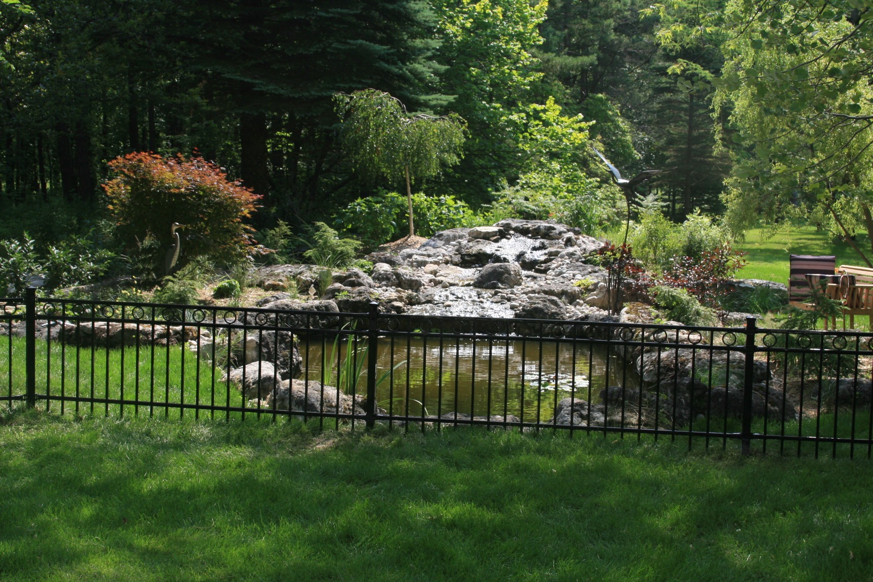 A small pond with rocks and lush greenery is surrounded by a black metal fence, nestled in a wooded garden area.