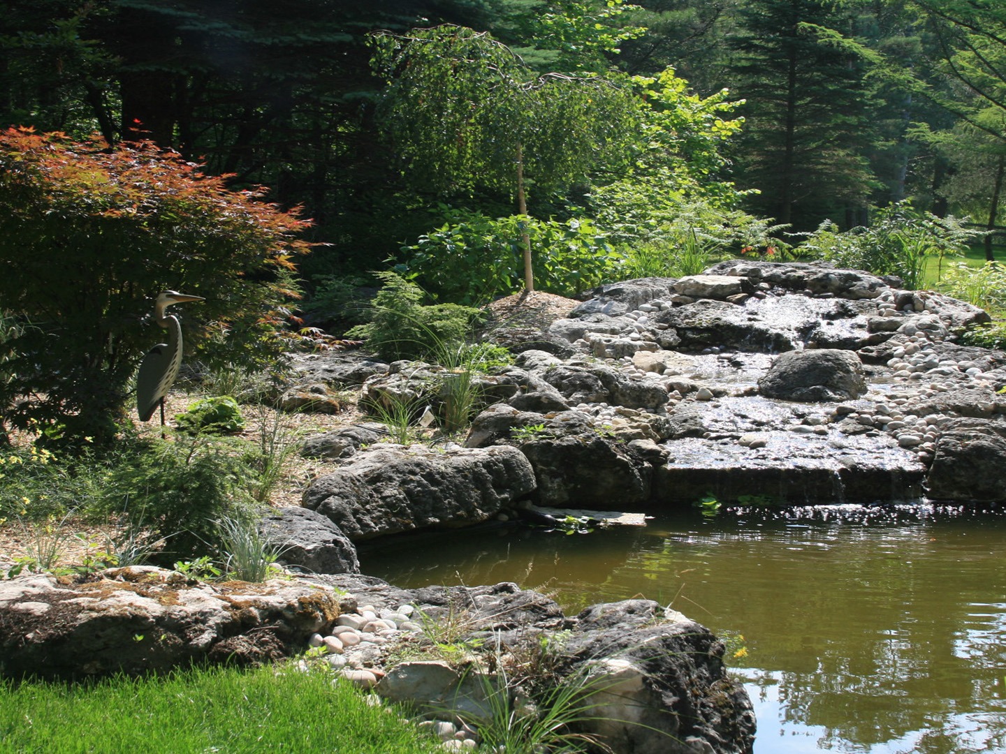 A serene garden scene with a pond, rocks, lush greenery, and a bird standing near the water in a tranquil setting.