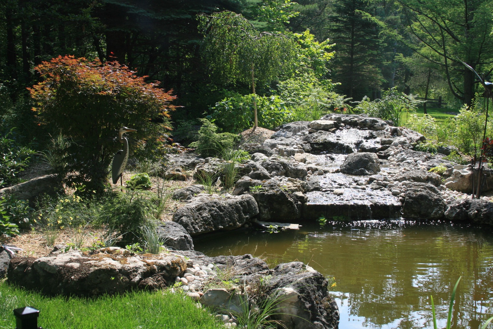 A tranquil garden scene featuring a small pond, rocky waterfall, and lush greenery, surrounded by trees, under a clear sky.