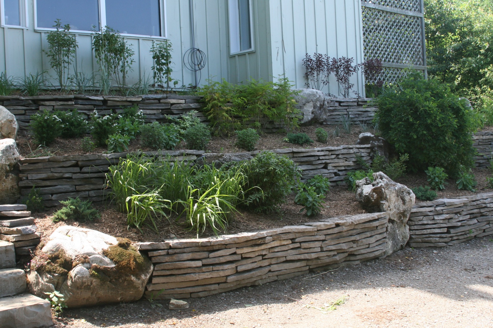 Terraced garden with stone retaining walls, featuring various lush plants, adjacent to a light-colored building with large windows and a lattice structure.