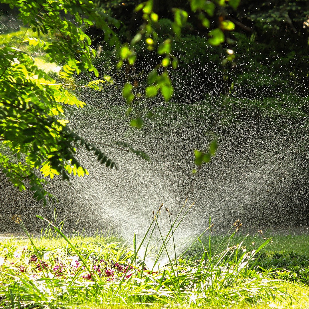 A sprinkler waters a lush garden, surrounded by vibrant greenery and sunlight, creating a refreshing and serene outdoor scene.