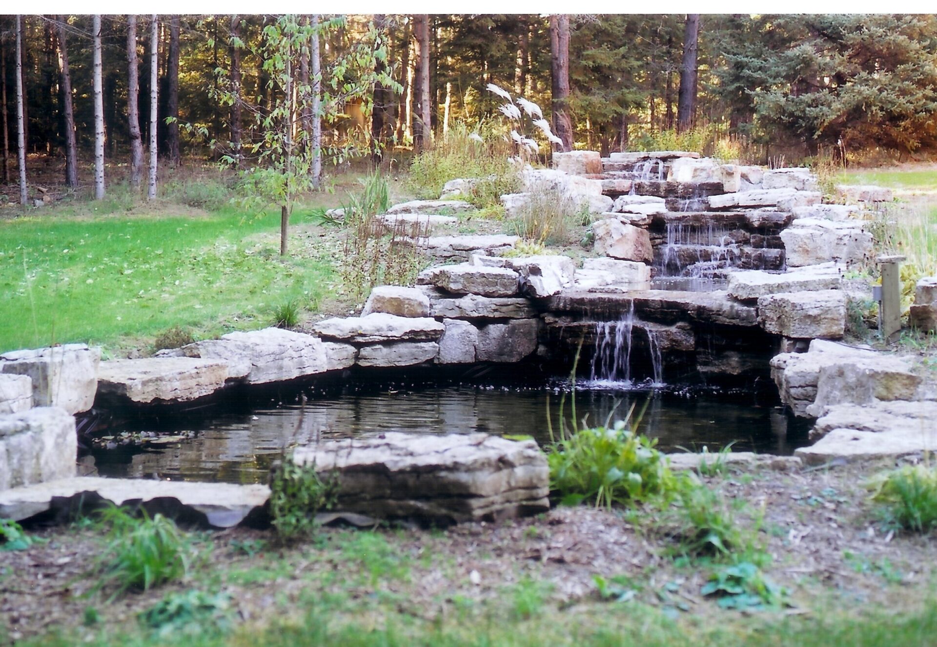 A serene garden scene featuring a small waterfall cascading over rocks, surrounded by lush greenery and a forested background.